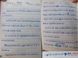 桃园日记最新爆料是谁,神秘幕后黑手浮出水面  第3张